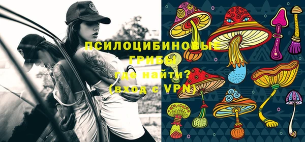 синтетический гашиш Зеленодольск