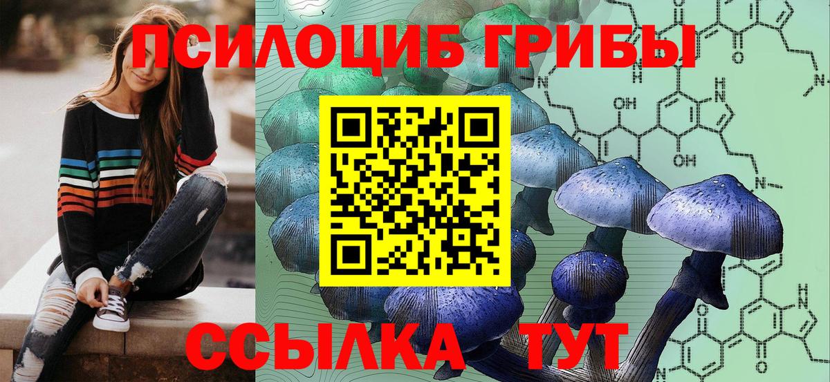 Псилоцибиновые грибы ЛСД  Камень-на-Оби 