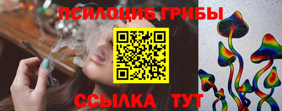 Псилоцибиновые грибы мицелий  наркота  Псилоцибиновые грибы ЛСД  Камень-на-Оби  Вход с VPN 