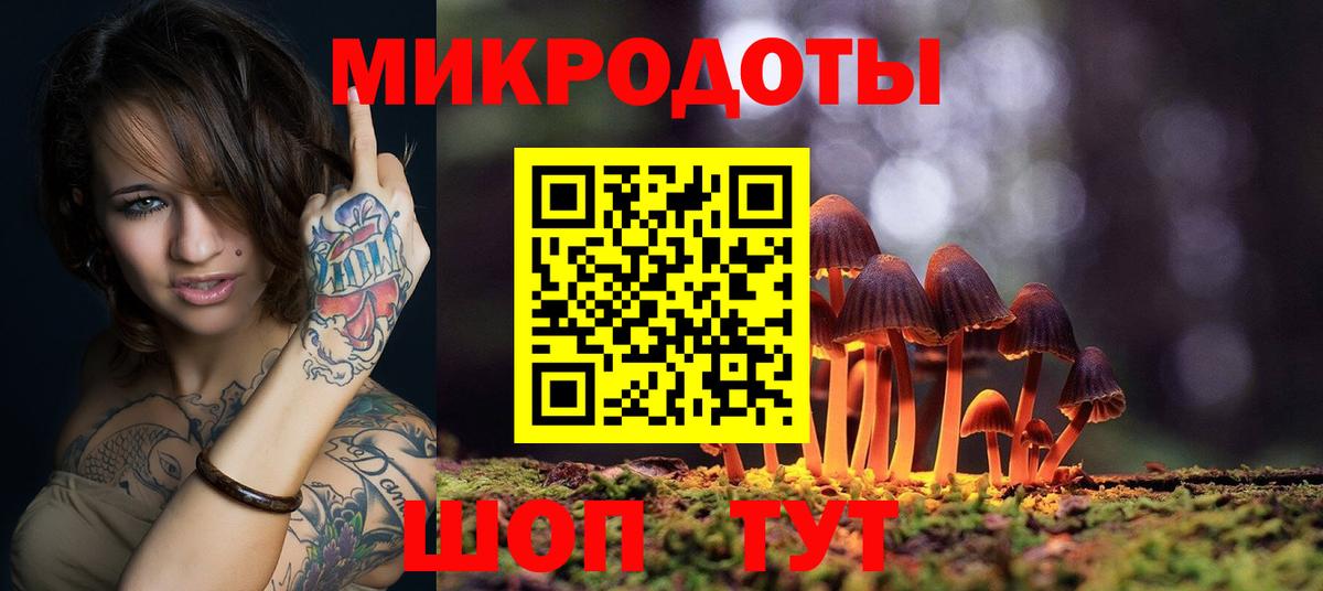 APVP Камень-на-Оби