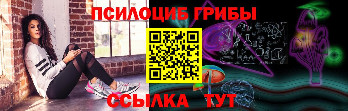 Галлюциногенные грибы Cubensis Камень-на-Оби